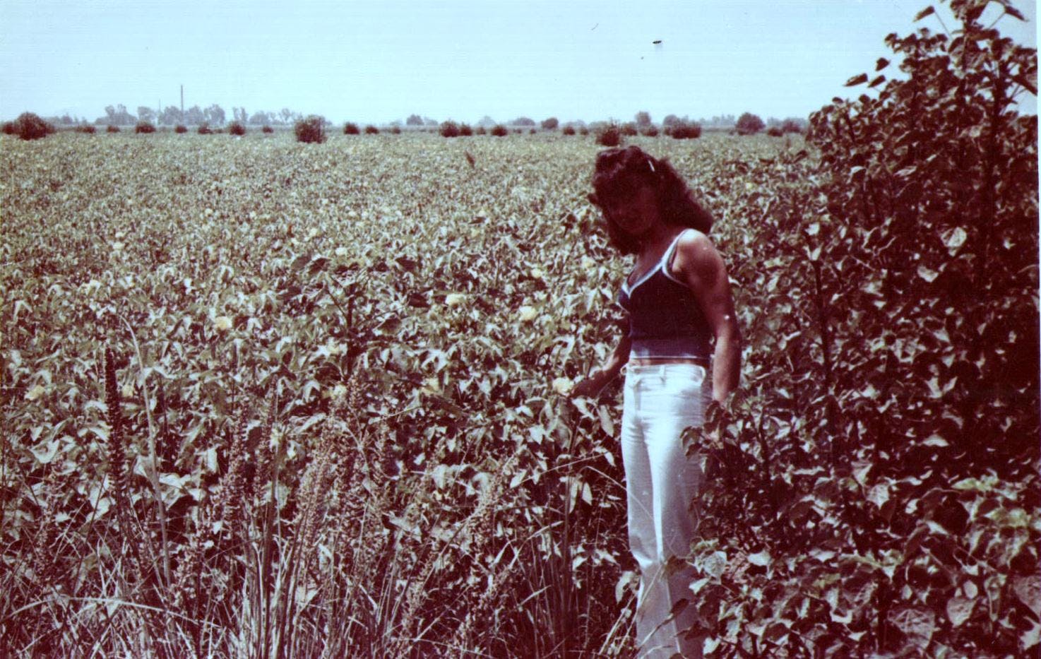 Egypt, 1980s. Helena Kowalska standing on the edge of a huge cotton field.