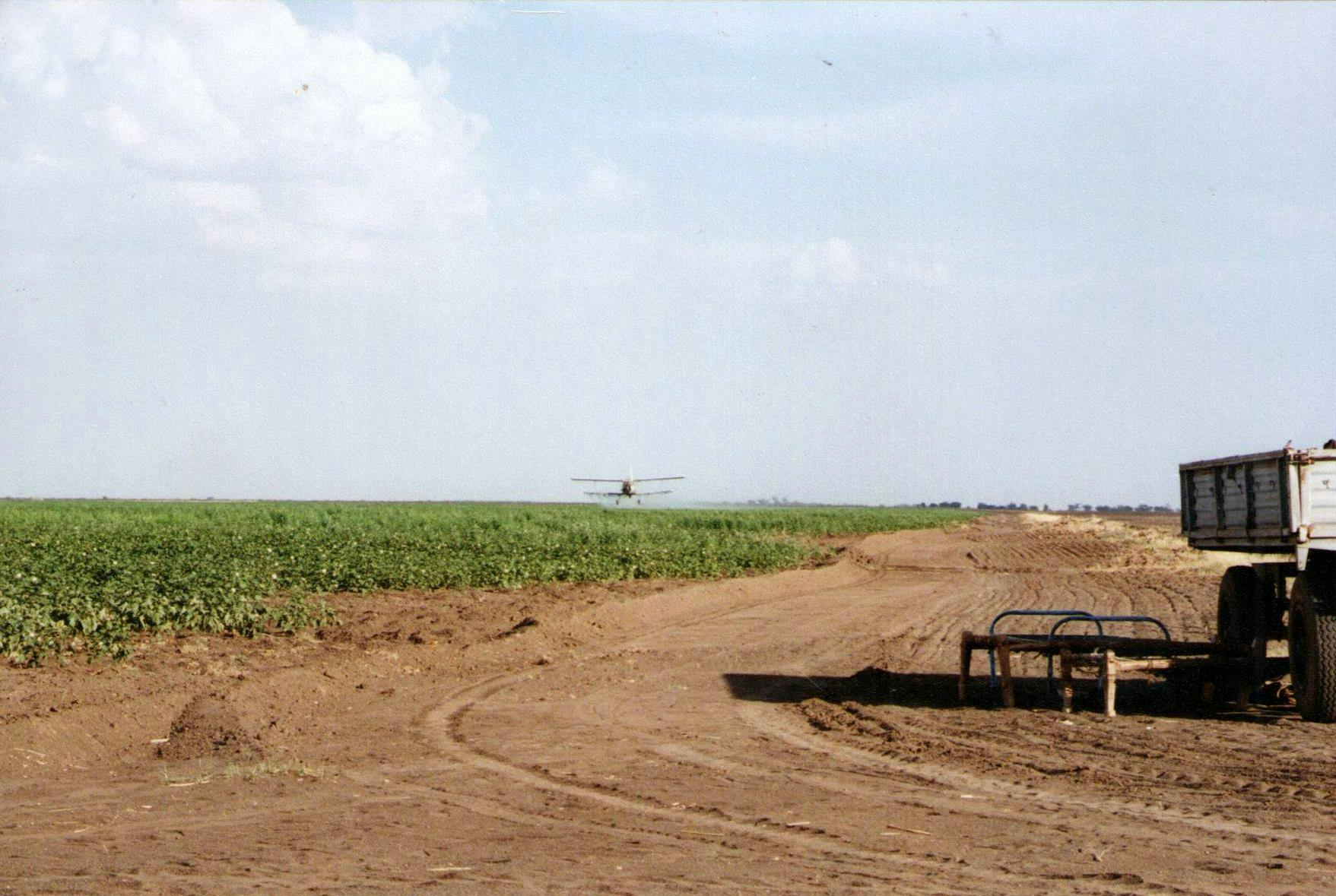 Sudan, 1980s. Polish AN-2 'Antek' spraying cotton fields.